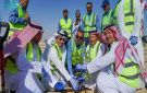 ضمن فعاليات موسم التشجير الوطني.. الري تستهدف زراعة 2 مليون شجرة