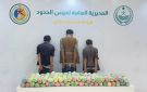 القبض على 3 يمنيين في جازان لتهريبهم (108) كجم قات 