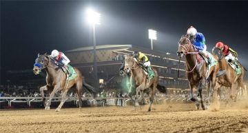 نخبة الخيل تتنافس على كأسي سمو ولي العهد بميدان الملك عبد العزيز