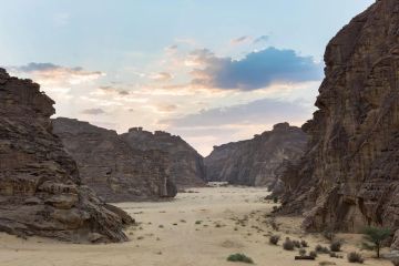 صحراء X العلا 2026: سديم جبران يعيد رسم خيال الوادي يناير المقبل صحراء X العلا 2026: سديم جبران يعيد رسم خيال الوادي يناير المقبل