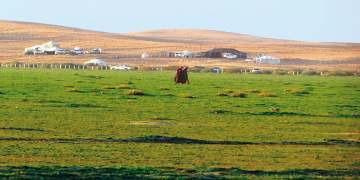 تقليل السعرات 30 يحمي الدماغ ويخفض خطر ألزهايمر