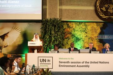 المملكة تستعرض أمام الأمم المتحدة نتائج رئاستها لـ COP16 ودورها في مكافحة الجفاف والتصحر