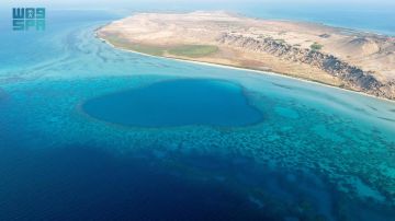 الثقوب الزرقاء غرب المملكة.. أعماق بحرية تكشف كنوزا جيولوجية وبيئية فريدة الثقوب الزرقاء غرب المملكة.. أعماق بحرية تكشف كنوزا جيولوجية وبيئية فريدة