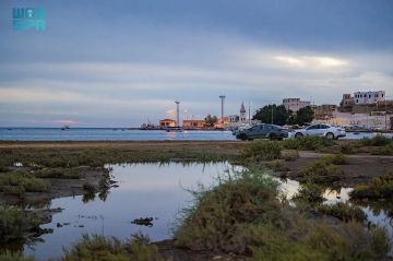 أجواء غائمة معتدلة تجذب أهالي الوجه إلى شواطئ البحر الأحمر أجواء غائمة معتدلة تجذب أهالي الوجه إلى شواطئ البحر الأحمر