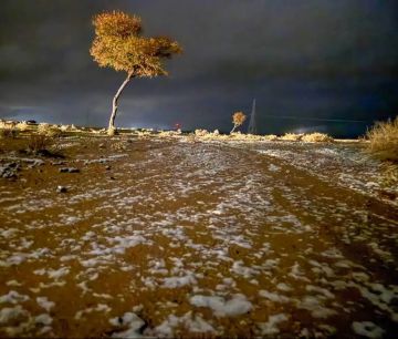 تراجع الأسهم الآسيوية مع استمرار ضغوط الذكاء الاصطناعي