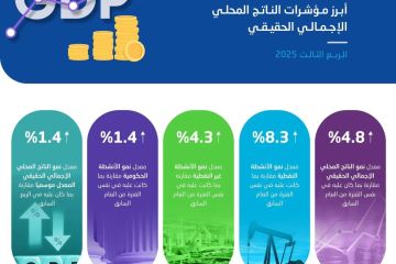 الإحصاء: الاقتصاد السعودي ينمو بنسبة 4.8 خلال الربع الثالث من عام 2025