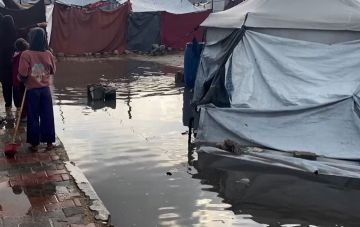 فلسطين تطلق مناشدة عاجلة لتوفير مستلزمات الإيواء وتوزيعها في غزة