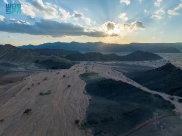 الغطاء النباتي يطرح 3 فرص استثمارية بيئية في البيضاء بالمدينة الغطاء النباتي يطرح 3 فرص استثمارية بيئية في البيضاء بالمدينة