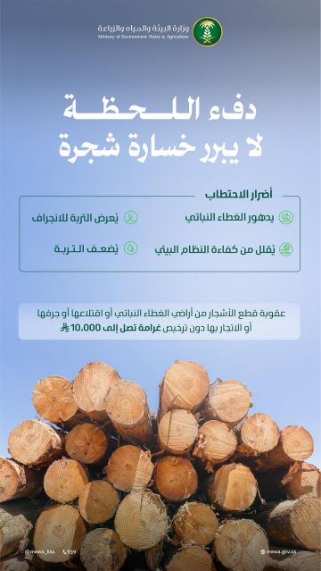 البيئة تحذر من الاحتطاب الجائر وتؤكد: عقوبات رادعة لحماية الغطاء النباتي