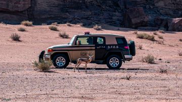 ضبط مواطن مخالف لنظام البيئة ارتكب مخالفة رعي في محمية الإمام عبدالعزيز بن محمد الملكية ضبط مواطن مخالف لنظام البيئة ارتكب مخالفة رعي في محمية الإمام عبدالعزيز بن محمد الملكية