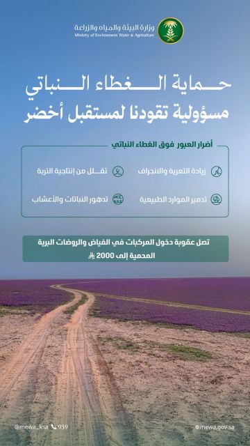 البيئة تؤكد حماية الغطاء النباتي وتمنع العبور العشوائي للمناطق البرية والمحمية خلال التنزهات البيئة تؤكد حماية الغطاء النباتي وتمنع العبور العشوائي للمناطق البرية والمحمية خلال التنزهات