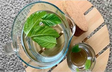 اختصاصي عقاقير طبية يعدد فوائد النعناع واستخداماته العلاجية.. تعرف عليها