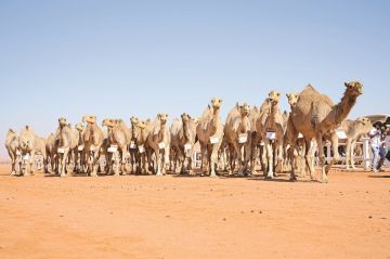 إعلان أسماء الفائزين في شوط بيرق الموحد صفر