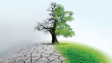 الجاسر: السعودية أصبحت مركزا للأحداث العالمية الكبرى في مجال النقل والخدمات اللوجستية الجاسر: السعودية أصبحت مركزا للأحداث العالمية الكبرى في مجال النقل والخدمات اللوجستية