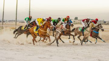 أربعة جياد من ميدان فروسية الدمام تتأهل لميدان الملك عبدالعزيز بالرياض