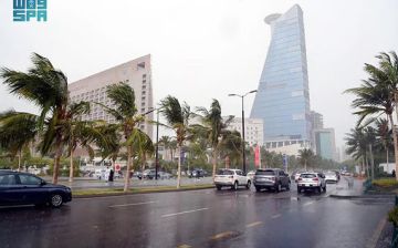 تفاعل الجهات المعنية مع الإنذارات.. غلام: ندرس أسباب انتقال ذروة الأمطار الى ديسمبر تفاعل الجهات المعنية مع الإنذارات.. غلام: ندرس أسباب انتقال ذروة الأمطار الى ديسمبر