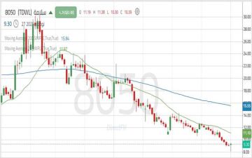 سهم سلامة يقترب من قاع تاريخي مع سيطرة القوة البيعية