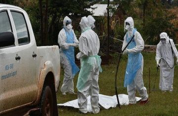 الصحة العالمية: 8 وفيات و12 إصابة بحمى ماربورغ في إثيوبيا منذ منتصف نوفمبر