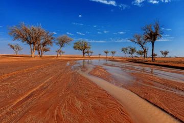 قد تطول في بعض المناطق.. المسند يلمح إلى تمديد الإجازة المطولة مع تقلبات جوية وأمطار متوقعة