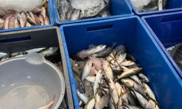 خادم الحرمين يتلقى رسالة خطية من رئيس روسيا تتصل بالعلاقات الثنائية بين البلدين خادم الحرمين يتلقى رسالة خطية من رئيس روسيا تتصل بالعلاقات الثنائية بين البلدين