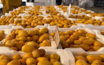 المملكة تستهدف رفع مساهمة قطاع الزراعة بالاقتصاد إلى 123.5 مليار ريال في 2026