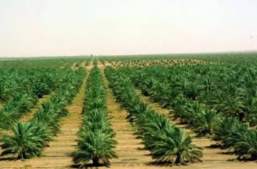 ضبط مخالف للرعي في محمية الإمام عبدالعزيز بن محمد الملكية