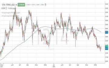 وصول سهم شاكر إلى دعم مهم وظهور إشارات إيجابية للارتداد