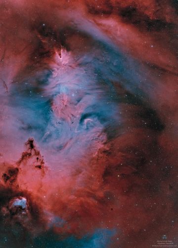 شاهد.. مرصد الختم الفلكي يلتقط صورة خلابة لعنقود الشجرة وسديم المخروط