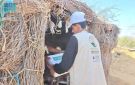 بدعم سعودي.. مساعدات طبية وغذائية من مركز الملك سلمان للإغاثة في اليمن وسوريا