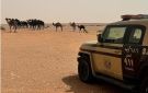 الأمن البيئي يضبط مواطنا خالف نظام البيئة برعي الإبل في محمية الإمام تركي - sa