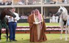  مربط عذبه يحصد الذهب والفضة والبرونز في ختام العرض الدولي الثامن للخيل العربية بالرياض - sa