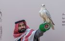 مهرجان الملك عبدالعزيز للصقور يقيم 6 أشواط للمحترفين في يومه الثاني - sa