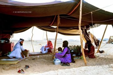 صور نادرة من بادية الربع الخالي عام 1403هـ توثق الحياة الصحراوية الأصيلة صور نادرة من بادية الربع الخالي عام 1403هـ توثق الحياة الصحراوية الأصيلة