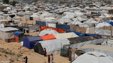 غزة تغرق في الجوع والعطش وسط انتشار البراغيث بمخيمات النزوح غزة تغرق في الجوع والعطش وسط انتشار البراغيث بمخيمات النزوح