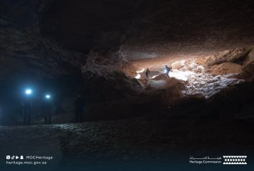 دحول الصمان.. هيئة التراث السعودية تعلن عن اكتشاف عالي الأهمية يعود إلى 8 ملايين سنة (صور فيديو)