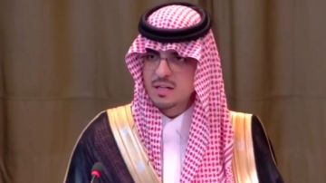 الناصر أمام العدل الدولية: إسرائيل تقتل الأبرياء في غزة باستخدام الذكاء الاصطناعي .. فيديو الناصر أمام العدل الدولية: إسرائيل تقتل الأبرياء في غزة باستخدام الذكاء الاصطناعي .. فيديو