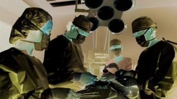 زراعة ناجحة لكلية خنزير معدلة وراثيا لمريض بالفشل الكلوي