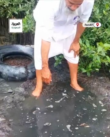 عين عذبة تتفجر من داخل البحر على شاطئ القحمة.. كنز طبيعي يثير الدهشة