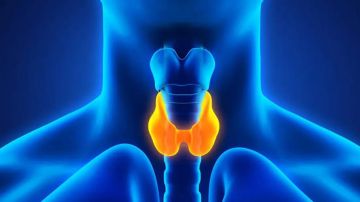 تحذير لمرضى الغدة الدرقية: أطعمة شائعة قد تضعف فعالية العلاج