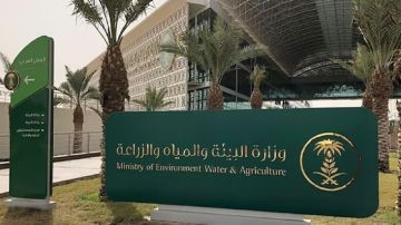 فرع البيئة بالمدينة المنورة يحظر صيد أسماك الناجل والطرادي لمدة شهرين