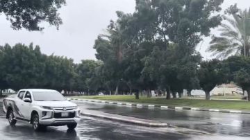 الفازنلي: الحرارة لم تصل لذروتها ومازالت توجد ملامح الشتاء ..فيديو