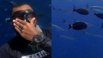 بحار سعودي يخوض مغامرة مع أسماك القرش في البحر الأحمر.. فيديو