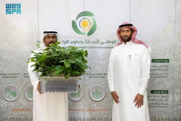 استدامة توزع أكثر من 20 ألف شتلة توت أسود وورد طائفي على مزارعي منطقة الباحة استدامة توزع أكثر من 20 ألف شتلة توت أسود وورد طائفي على مزارعي منطقة الباحة