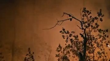 جهود مكثفة لإخماد حرائق ريف اللاذقية وسط تحديات الطبيعة والمخلفات الحربية.. فيديو