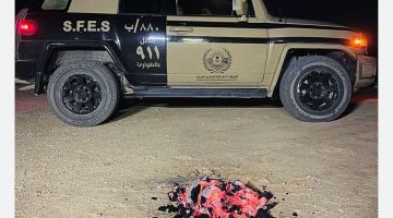 الأمن البيئي يضبط مواطنا مخالفا لإشعاله النار في أراضي الغطاء النباتي بمحمية طويق الأمن البيئي يضبط مواطنا مخالفا لإشعاله النار في أراضي الغطاء النباتي بمحمية طويق