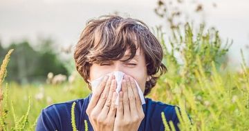 مع قدوم الربيع.. طبيبة مناعة : طريقتان للتخلص من حساسية حبوب اللقاح في شهر واحد