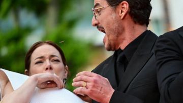 نحلة تهاجم إيما ستون على السجادة الحمراء في مهرجان كان السينمائي ..فيديو نحلة تهاجم إيما ستون على السجادة الحمراء في مهرجان كان السينمائي ..فيديو