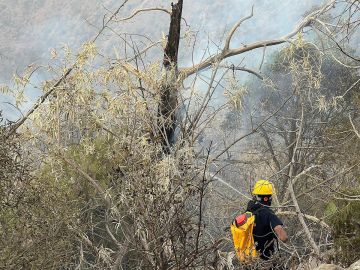 مدني جازان يسيطر على حريق أعشاب بمنطقة جبلية دون تسجيل إصابات مدني جازان يسيطر على حريق أعشاب بمنطقة جبلية دون تسجيل إصابات
