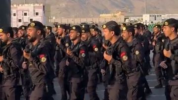 الأهازيج الوطنية تسبق العرض العسكري لقوات أمن الحج: وأمن الحج يا ملكنا .. فيديو الأهازيج الوطنية تسبق العرض العسكري لقوات أمن الحج: وأمن الحج يا ملكنا .. فيديو