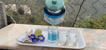 من أرض البن إلى عالم الشاي.. الأزرق يزهر في يومه الدولي من جبال فيفاء من أرض البن إلى عالم الشاي.. الأزرق يزهر في يومه الدولي من جبال فيفاء